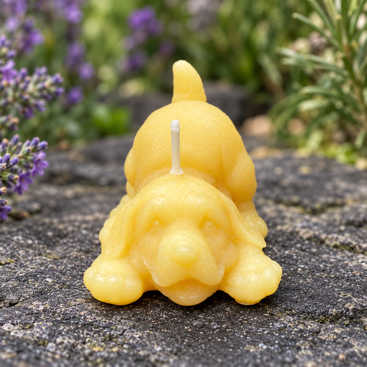 Kitten and Puppy Buddies Beeswax Candle Set