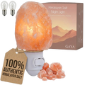 GAYA™ Himalayan Salt Night Light