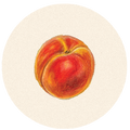 Peach Trinket Dish